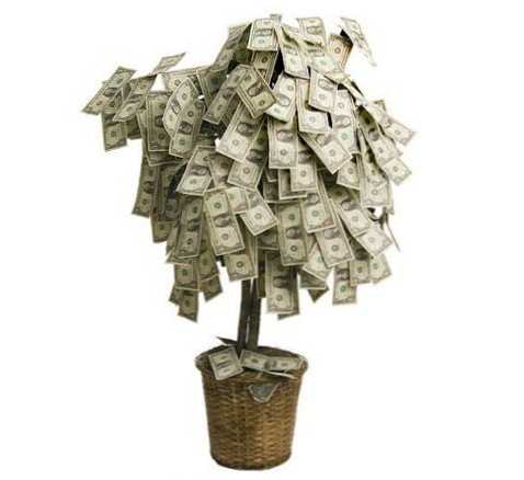 Peníze strom. Jak prezentovat bankovky na svatbu, je zajímavé a originální