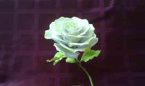 Інтер'єрна троянда з фоамірана
