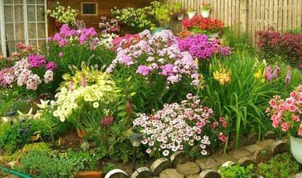 Cara mengatur taman bunga di dekat rumah, foto