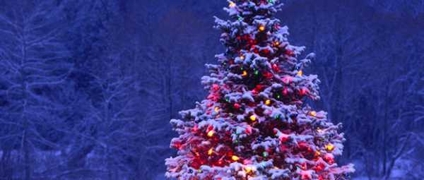 Nápady na vianočný stromček pre pouličný strom