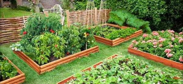 Яскраві ідеї для прикраси саду і городу
