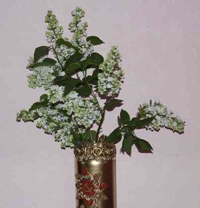 A váza ünnepélyes, május 9-ig