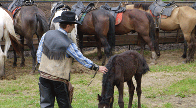 A moszkvai vad nyugati cowboyok