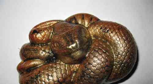 Szappanos kígyó Pitosh