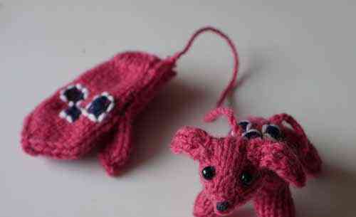 Nové pletené rukavice pro psy. Miniatura)