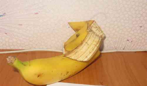 Banán tacskó